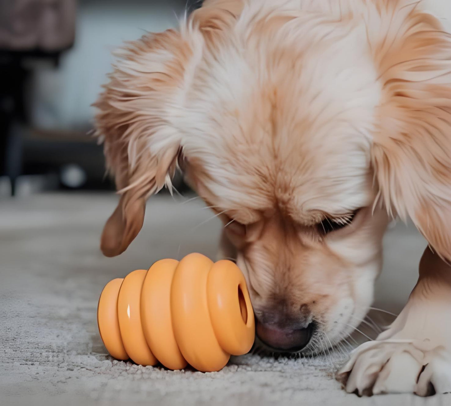 Natural Rubber Enrichment Toy - Large
