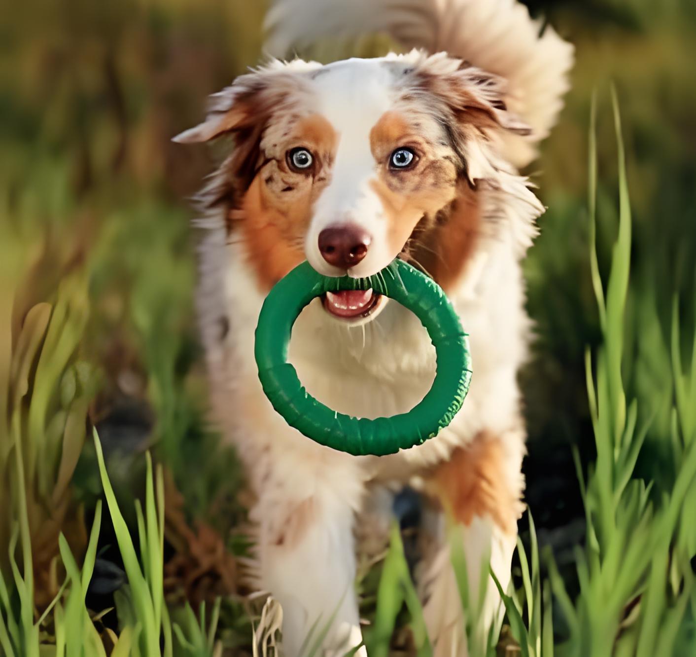 Natural Rubber Hoop Green - Medium