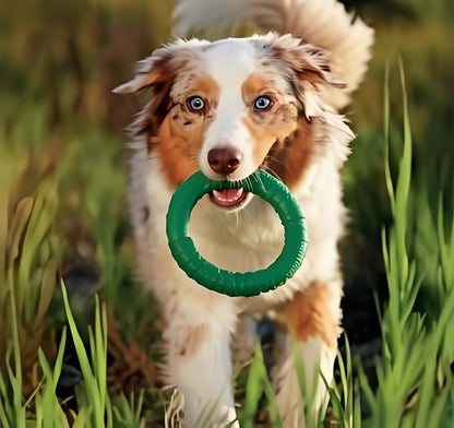 Natural Rubber Hoop Green - Medium
