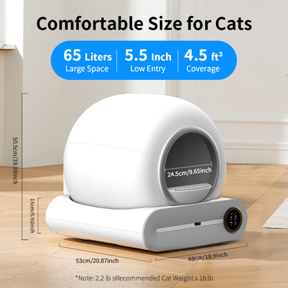 Smart Self-Cleaning Litter Box — Low-Step Ultra-Safe Automatic Care