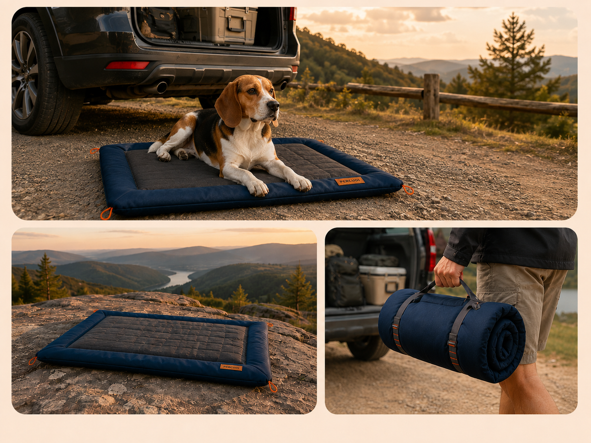 Pet using a portable Outdoor and Travel product in a genuine travel setting