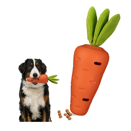 Treat-Dispensing Carrot