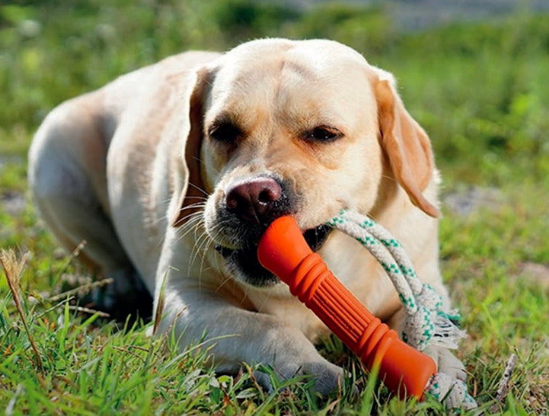Natural Rubber Bone Orange - Small