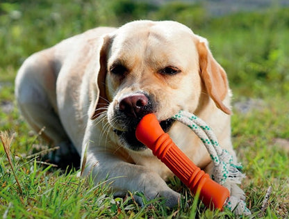 Natural Rubber Bone Orange - Small