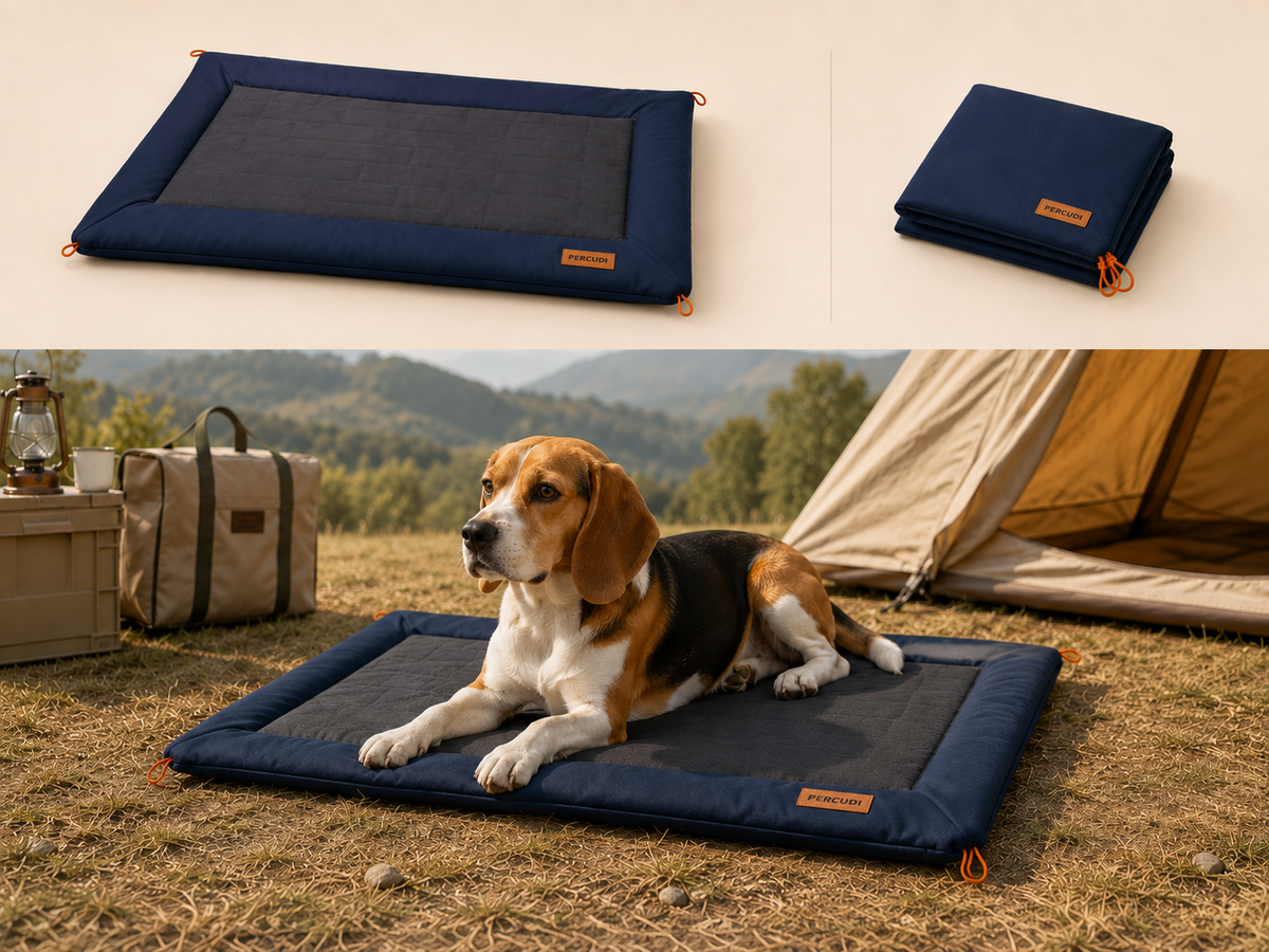 Compact and foldable pet travel product structure