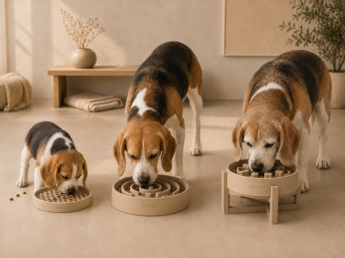 Silicone feeding formats for different pet life stages and sizes