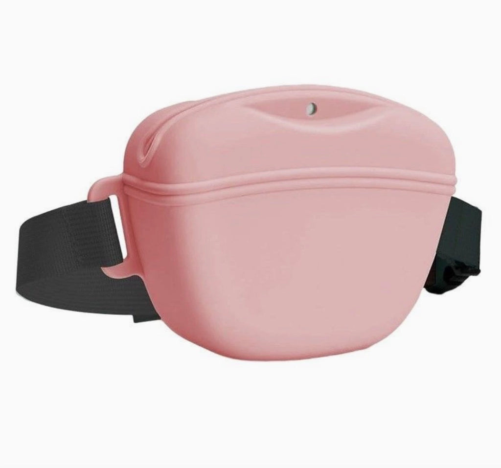Magnetic Silicone Pet Treat Pouch with Waist Belt