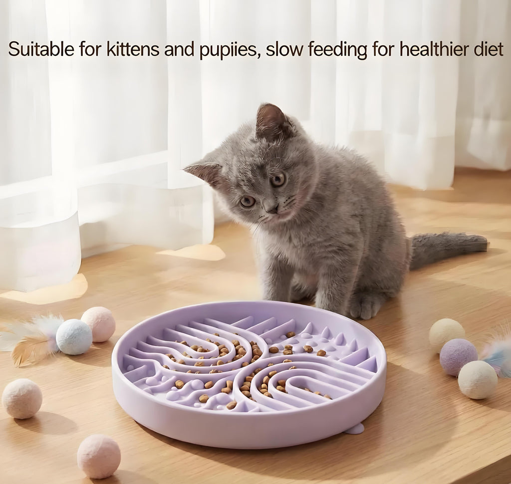 Anti-Choking Silicone Slow Feeder Bowl for Dogs & Cats