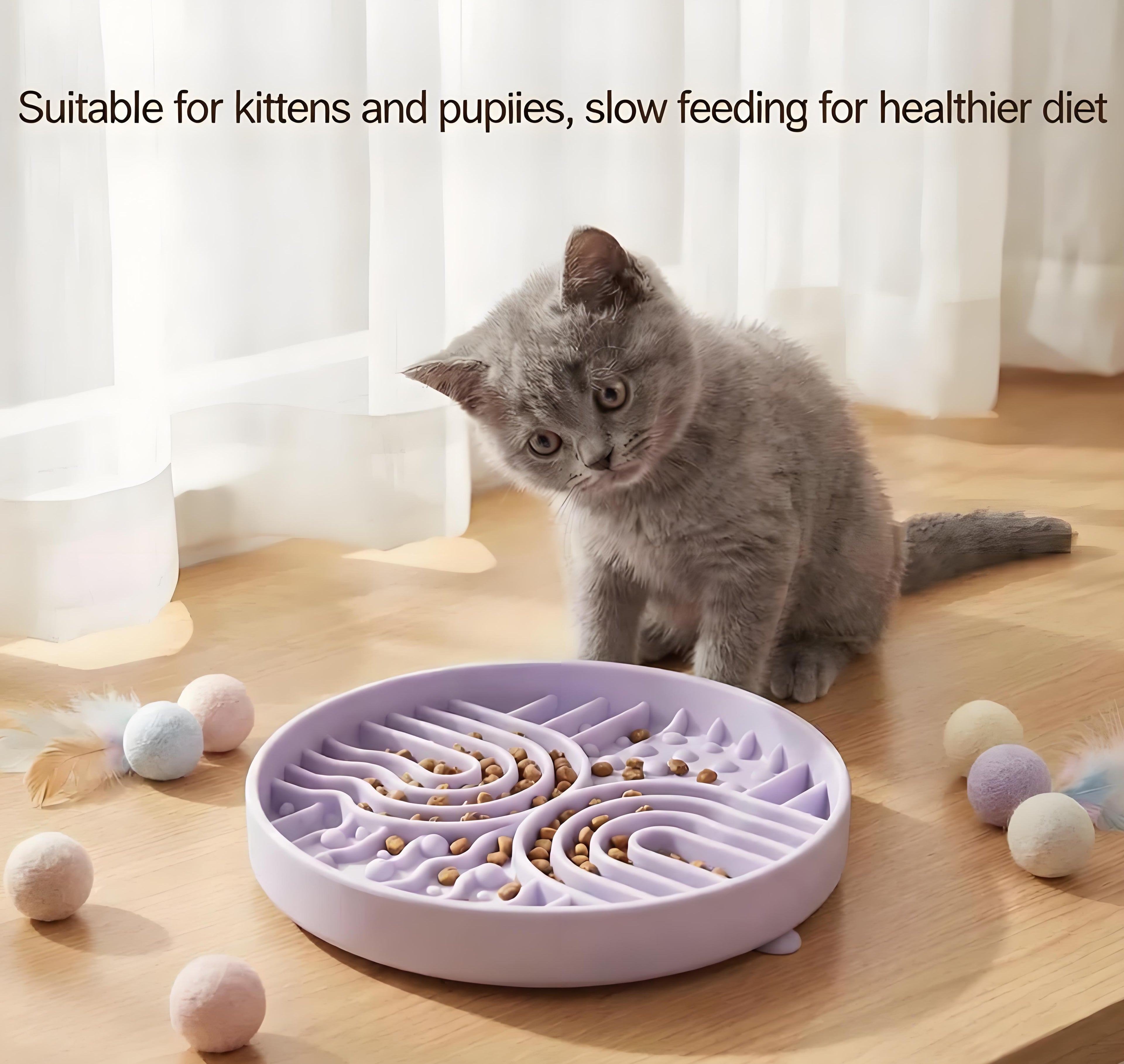 Anti-Choking Silicone Slow Feeder Bowl for Dogs & Cats