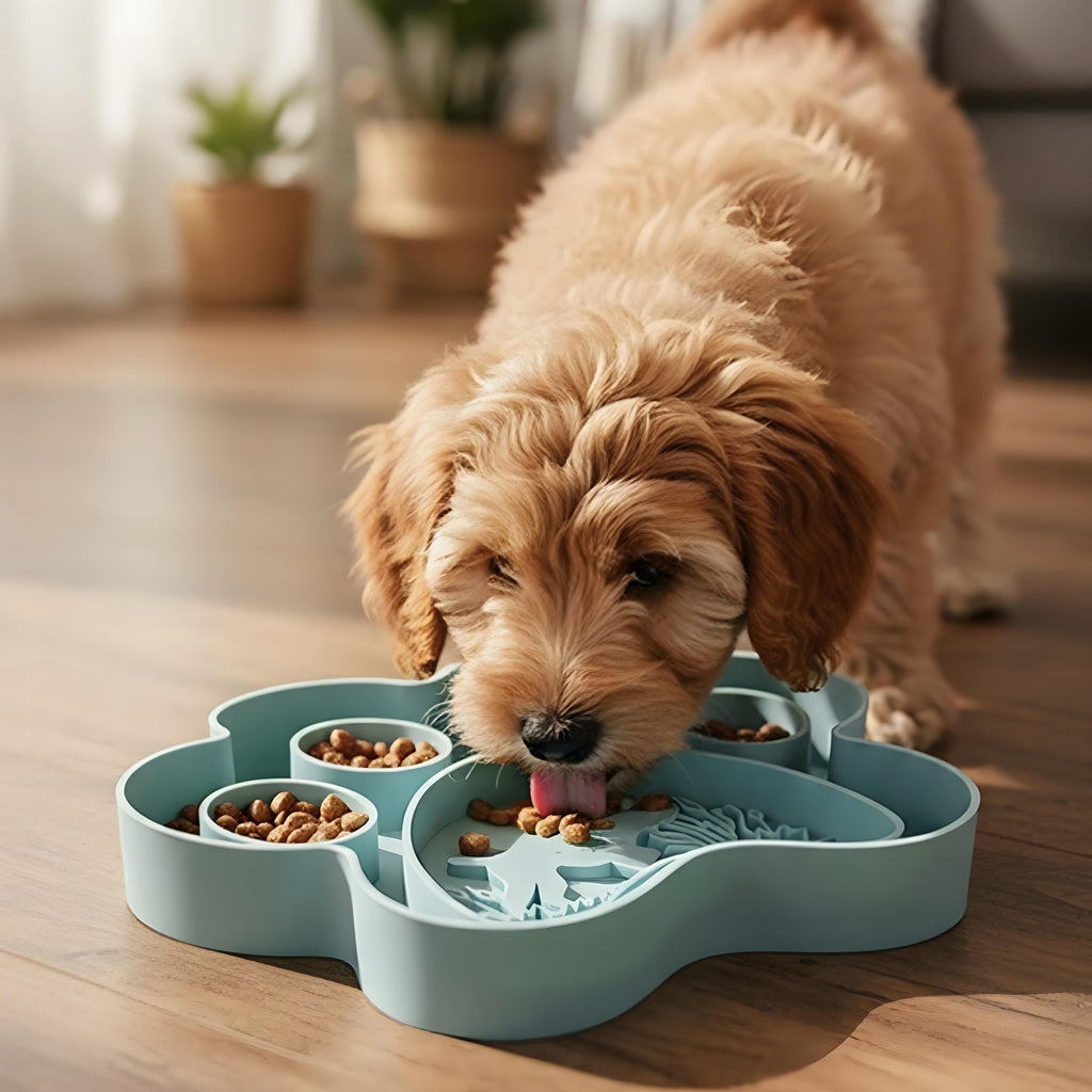 Food-Grade Silicone Multi-Compartment Pet Slow Feeder