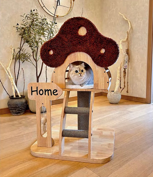 Mushroom House-B