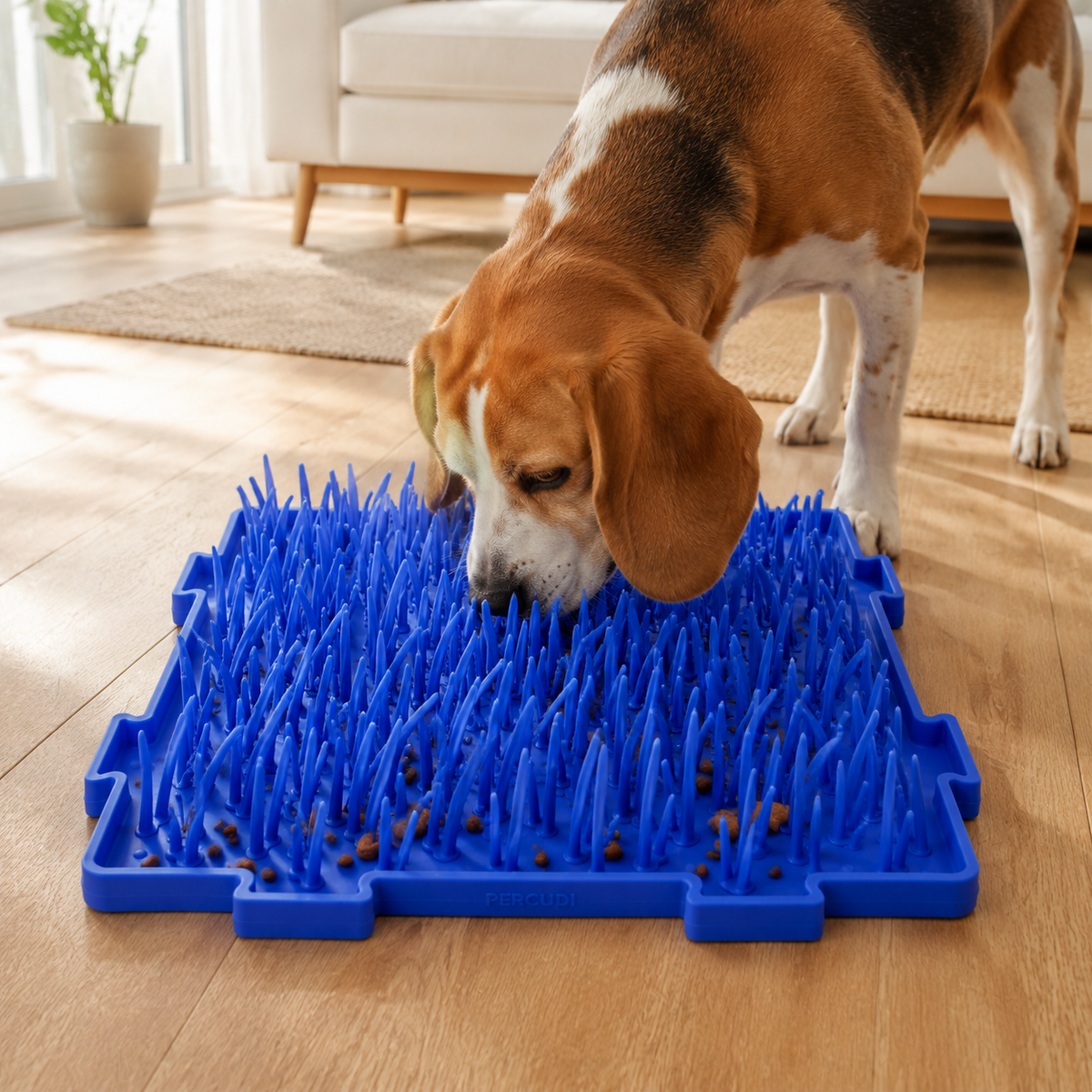Adult beagle searching for treats in four connected blue silicone snuffle mat tiles