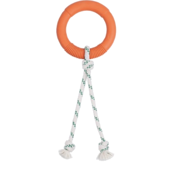 Natural Rubber Hoop Rope Toy  - Small
